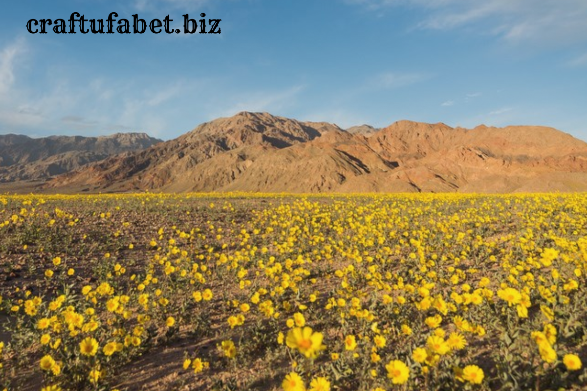 Fakta Unik Death Valley, Tempat Terpanas di Dunia.