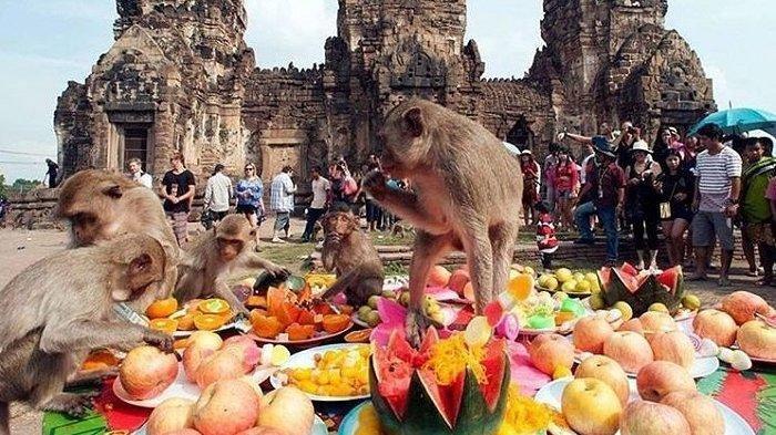 Fakta Unik Negara Thailand yang Memiliki Hari Festival Monyet