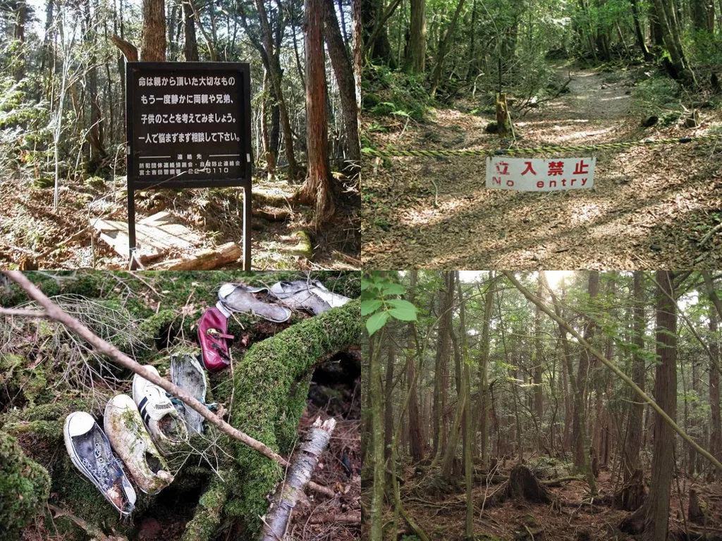 Aokigahara, Hutan Tempat Bunuh Diri di Jepang dan Fakta-nya