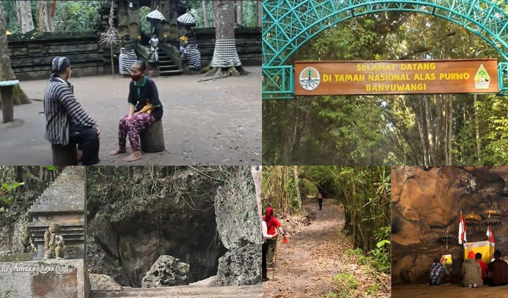 Fakta Unik Alas Purwo Hutan Mistis Pulau Jawa