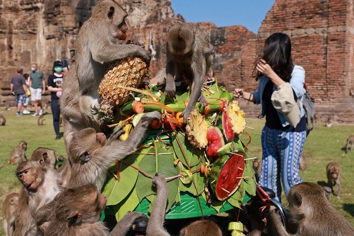 Festival Monyet Lopburi di Thailand