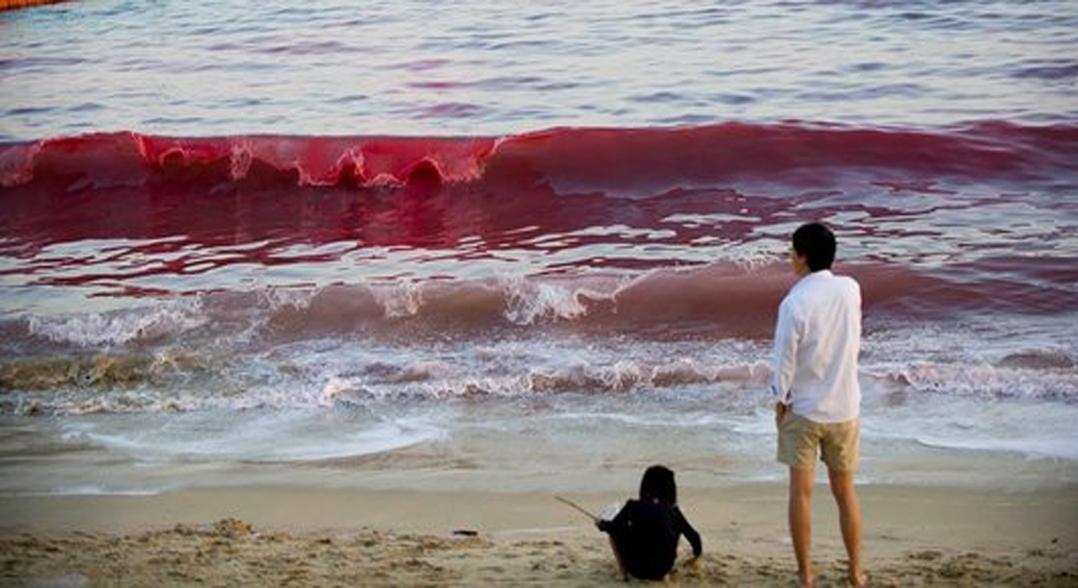 Fenomena Pantai Berdarah Yang Terletak di Indonesia