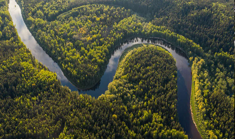 3 Fakta Unik yang Ada di Hutan Amazon