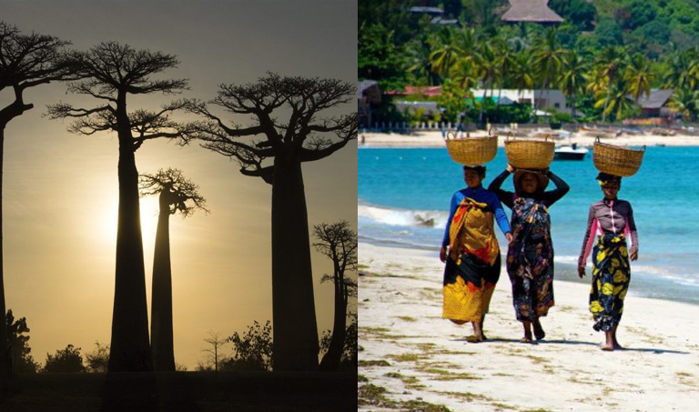 3 Fakta Madagaskar, Negara dengan Flora dan Fauna yang Endemik