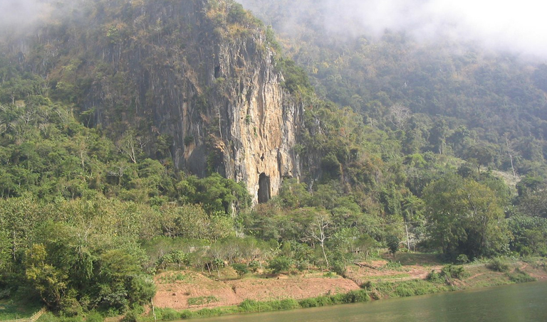 4 Hewan Paling Berbahaya di Laos, Serangannya Ganas!